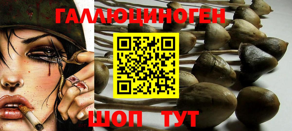 Галлюциногенные грибы Magic Shrooms Лыткарино