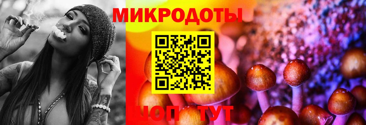 Псилоцибиновые грибы MAGIC MUSHROOMS  наркотики  Лыткарино  Вход с VPN 